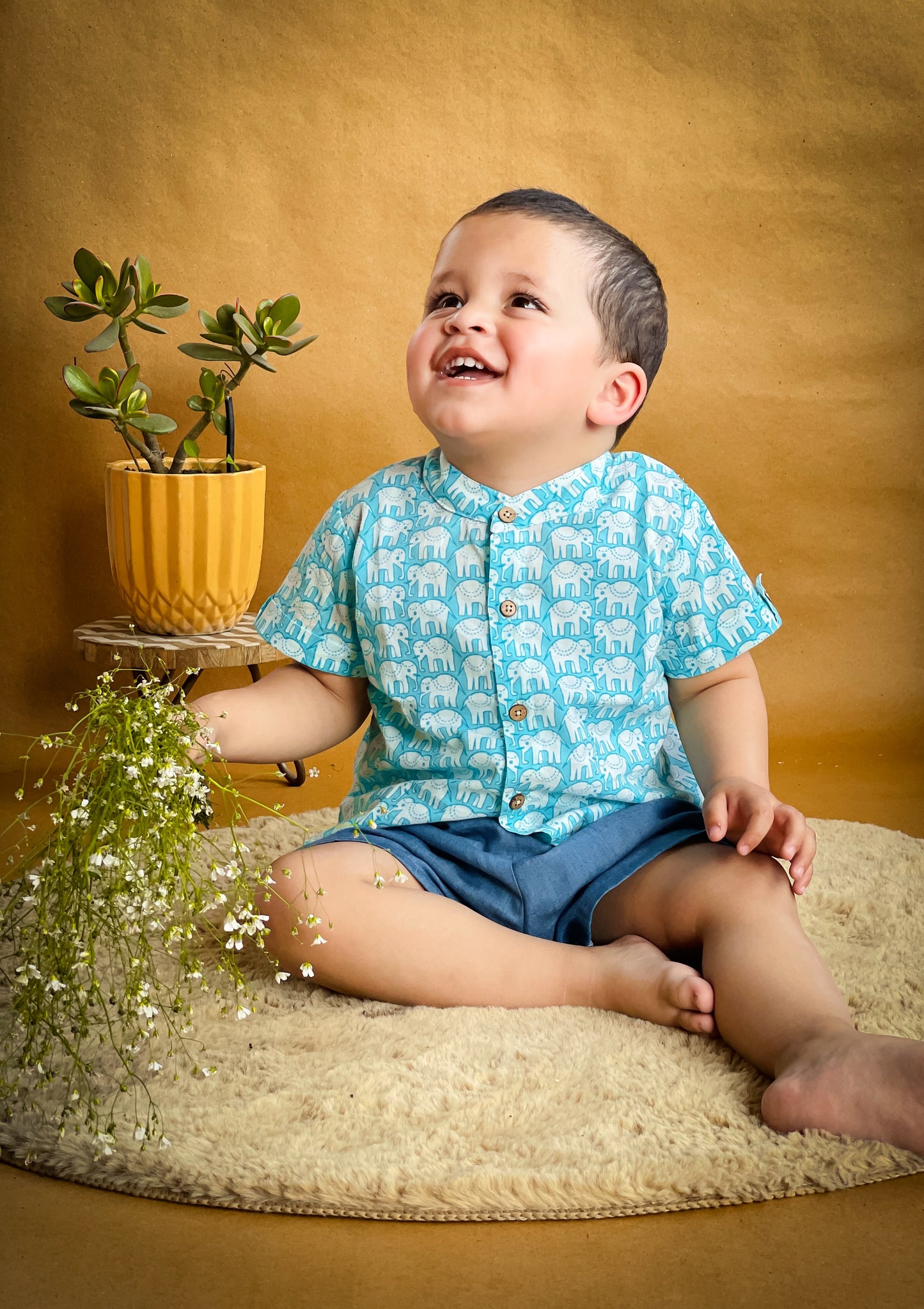 Premium Cotton Shirts