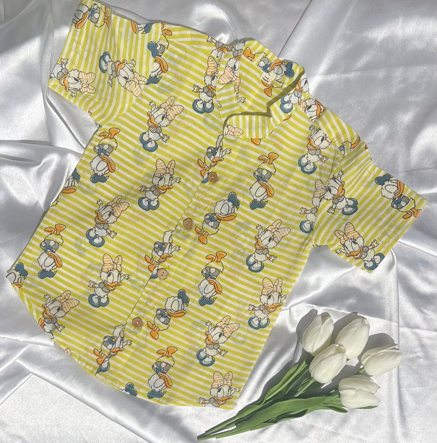 Donald Duck Set