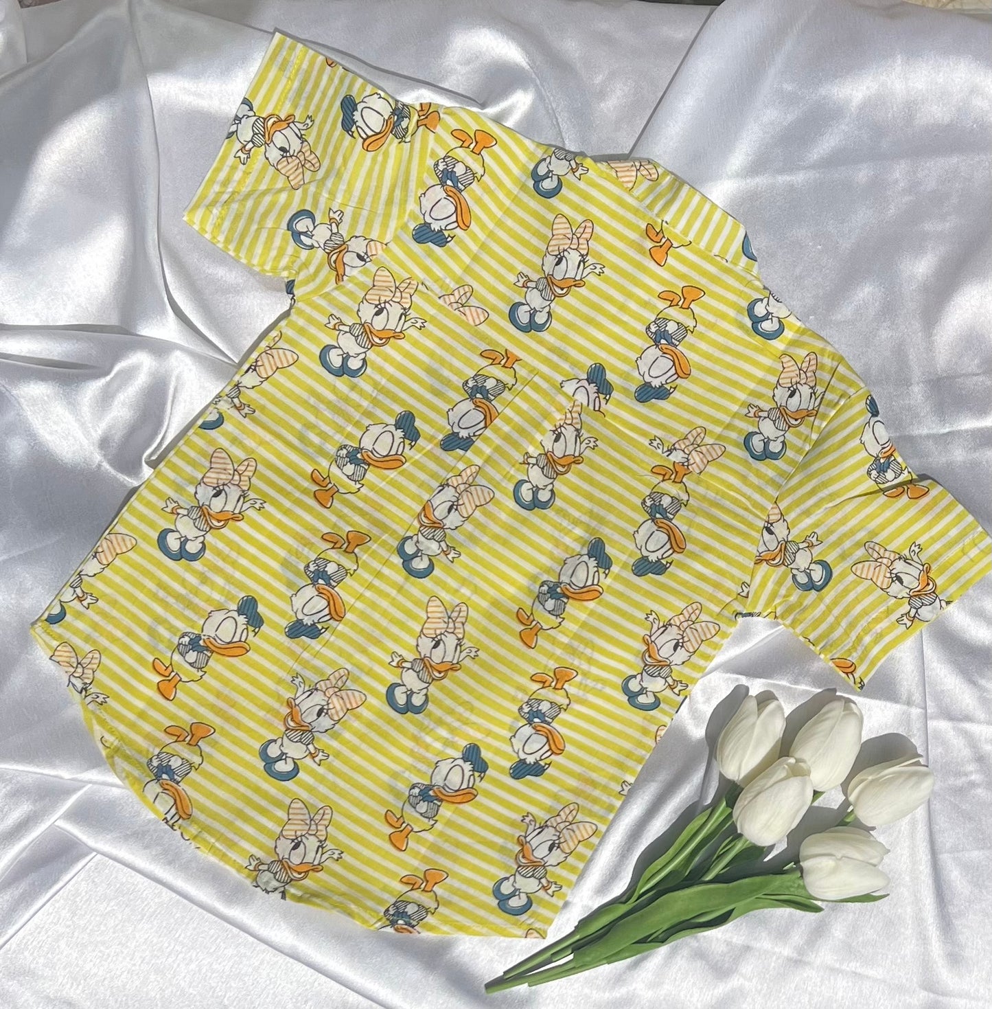 Donald Duck Set