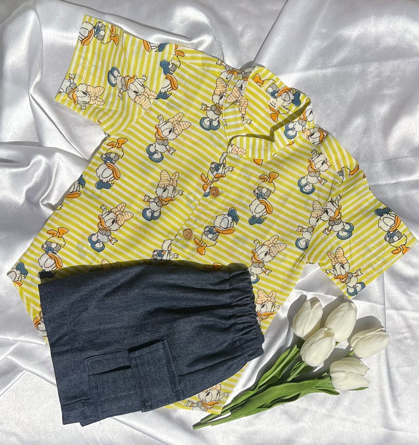 Donald Duck Set