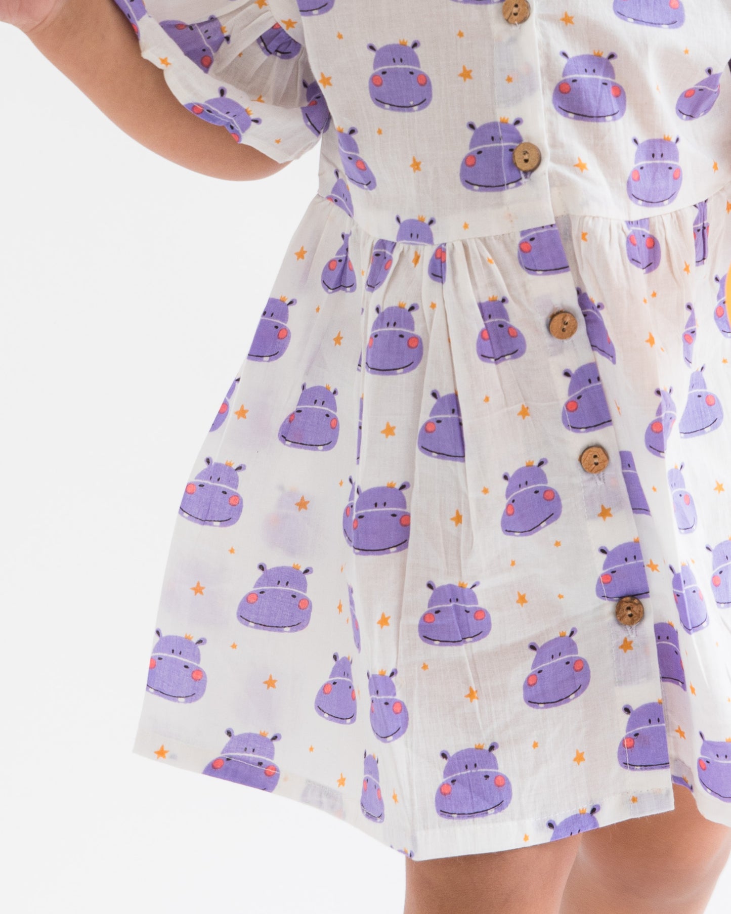Little Hippo frock set with band