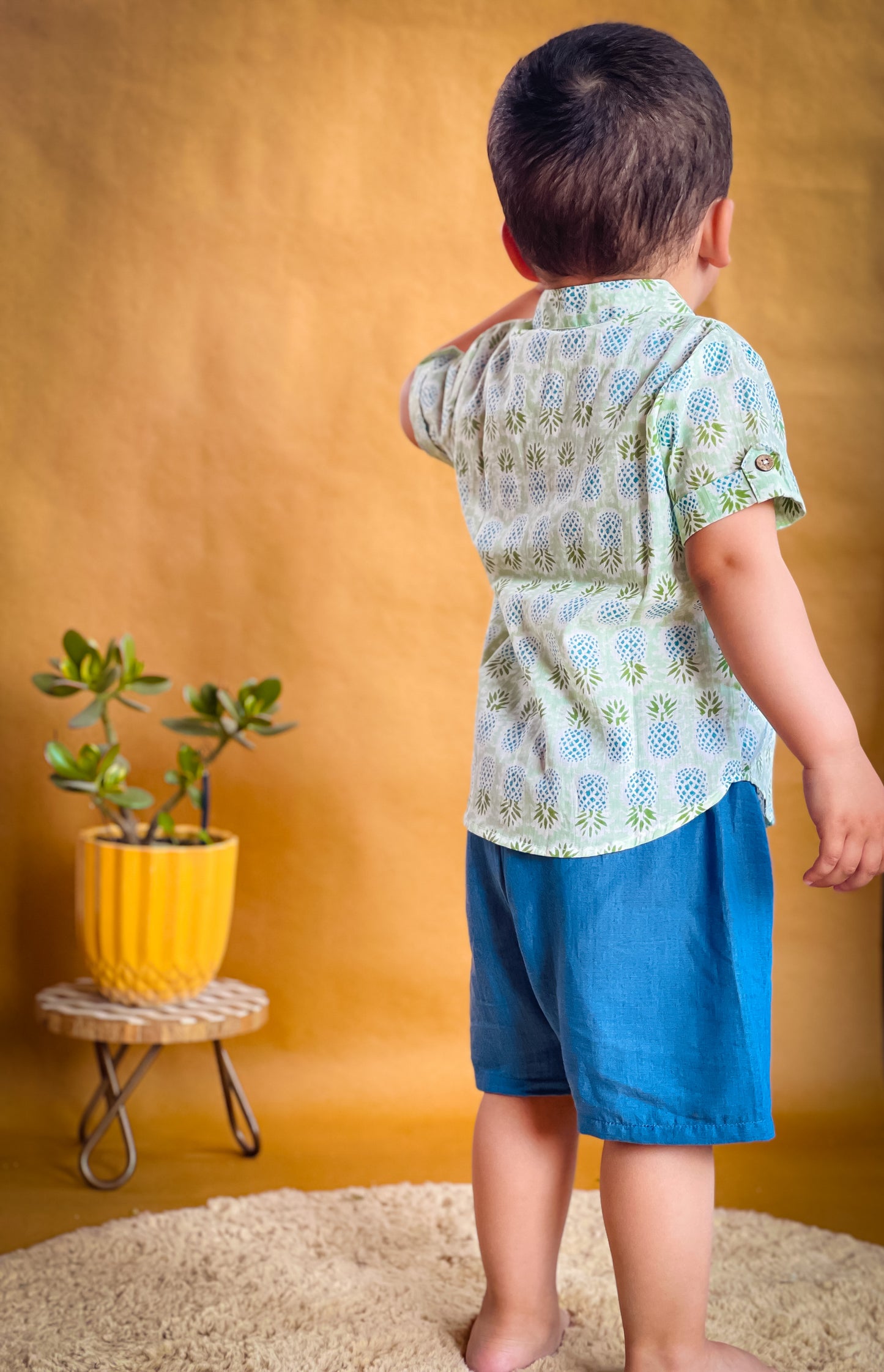 Premium Cotton Shirts